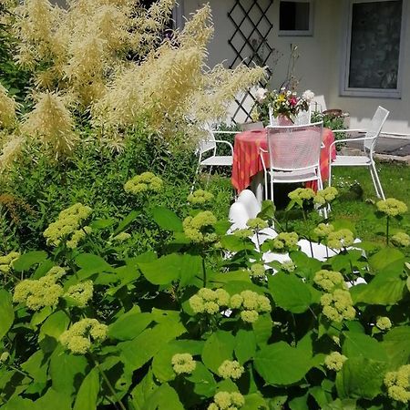 Вилла Secret Garden House In The Center Of Сигулда Экстерьер фото