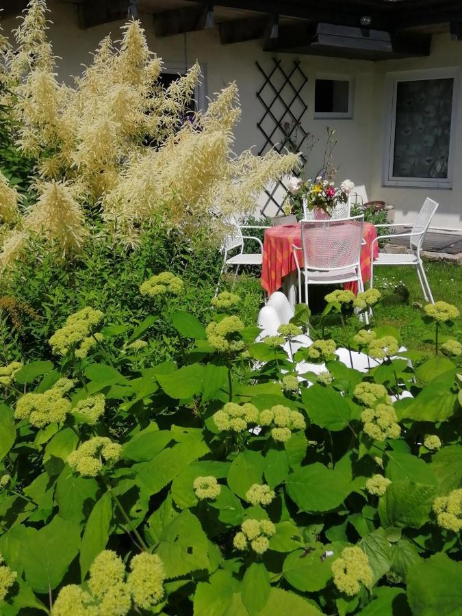 Вилла Secret Garden House In The Center Of Сигулда Экстерьер фото