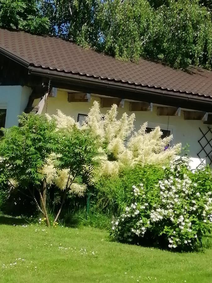 Вилла Secret Garden House In The Center Of Сигулда Экстерьер фото